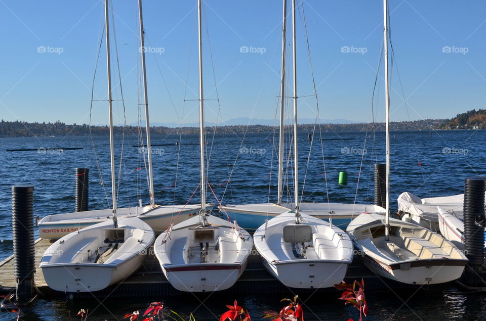 small sail boats