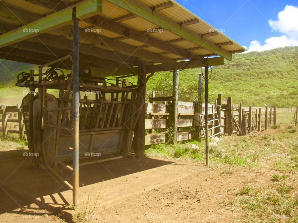 Kauai ranch