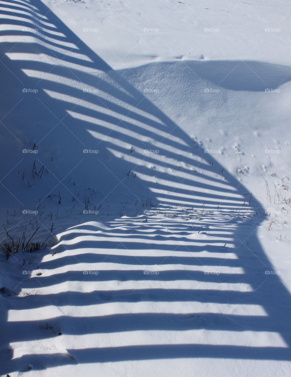 Abstract Winter Fence Shadow
