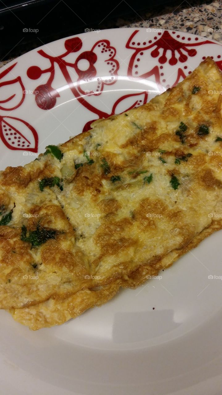 home made delicous omlet