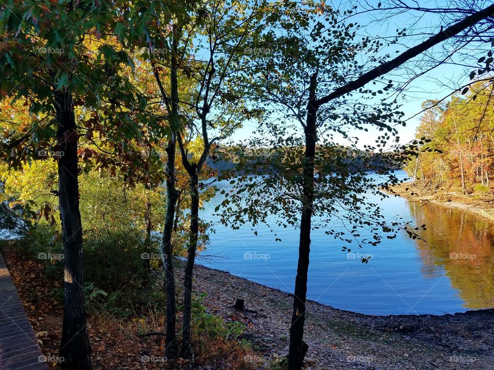 lake view.