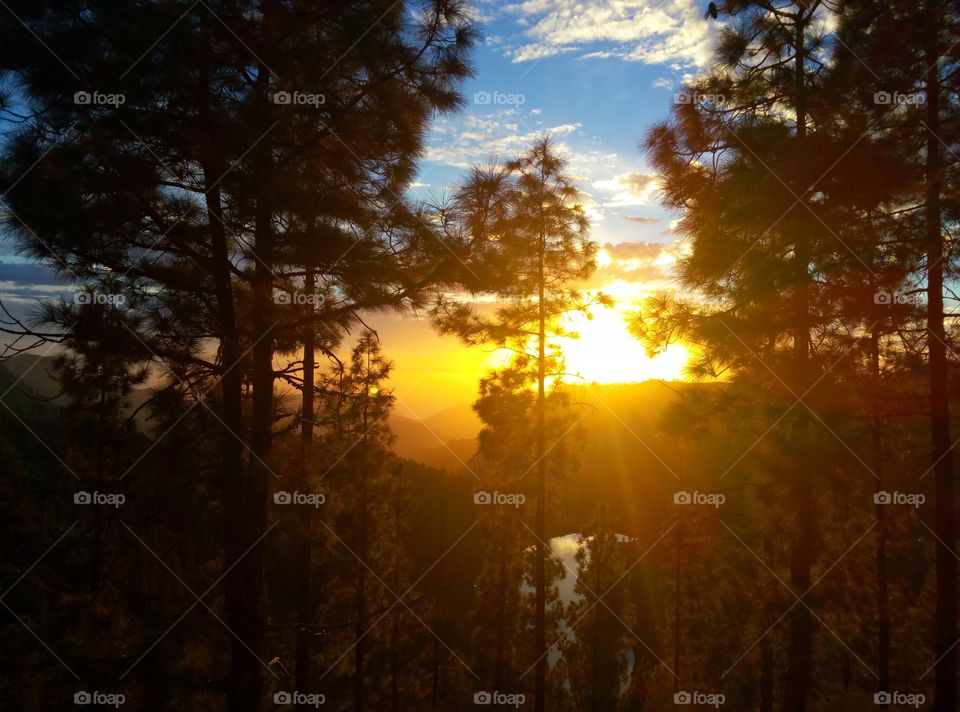 Dawn, Tree, Sun, Sunset, Landscape