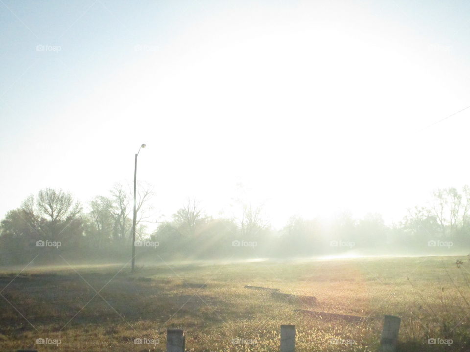 Illuminating sunrays