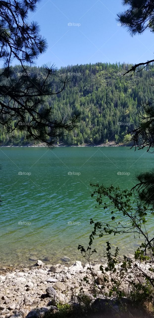 rocky shoreline shaded by trees with view of lake and mountain ridge covered with green trees under a sunny blue sky
