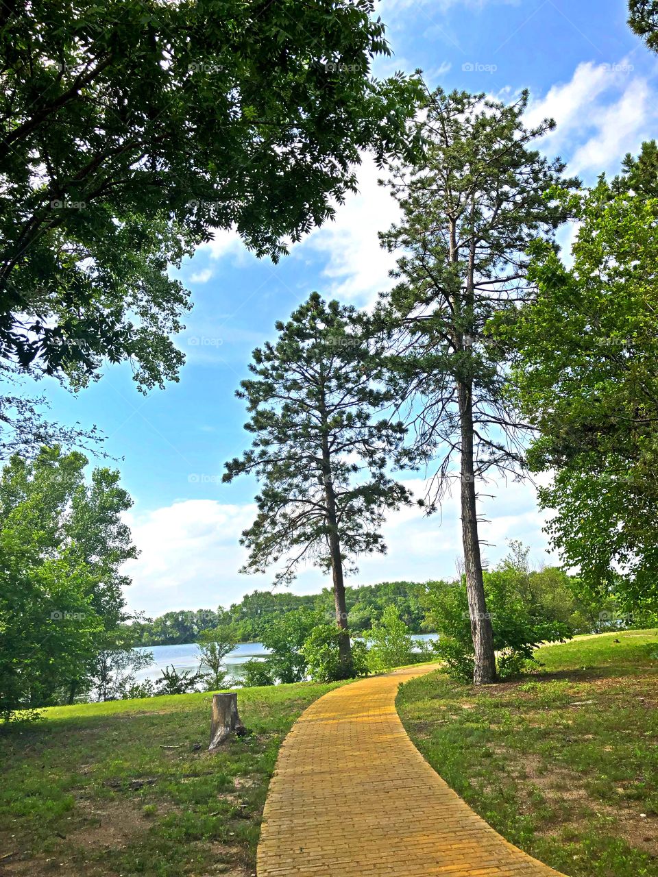 Gorgeous area at Watson park