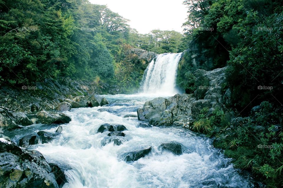 beautiful waterfalls in the jungle