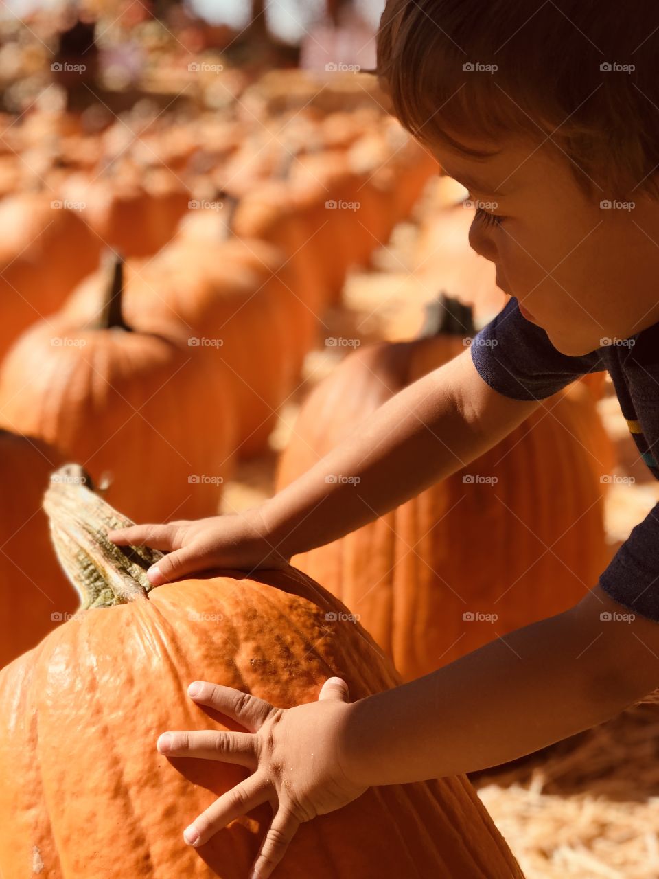 Is this the right one? 