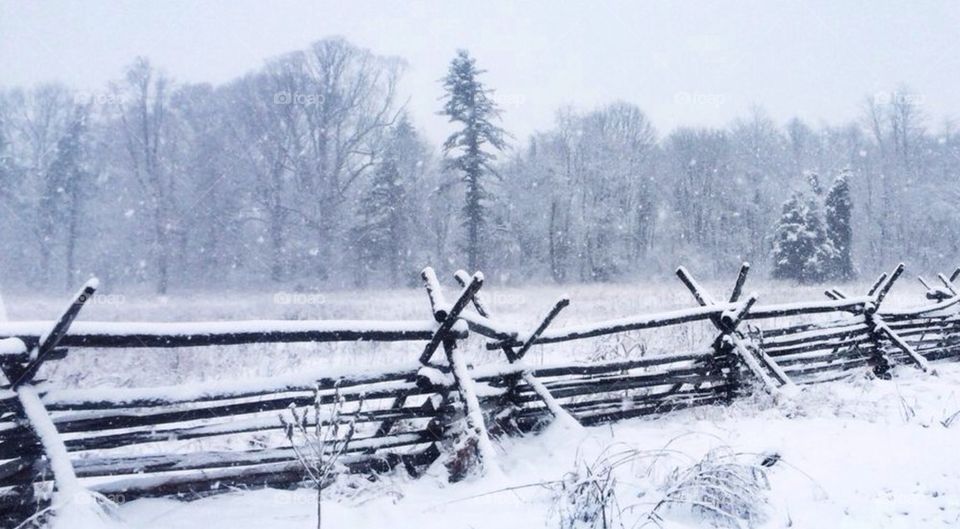 View of snowy forest in winter