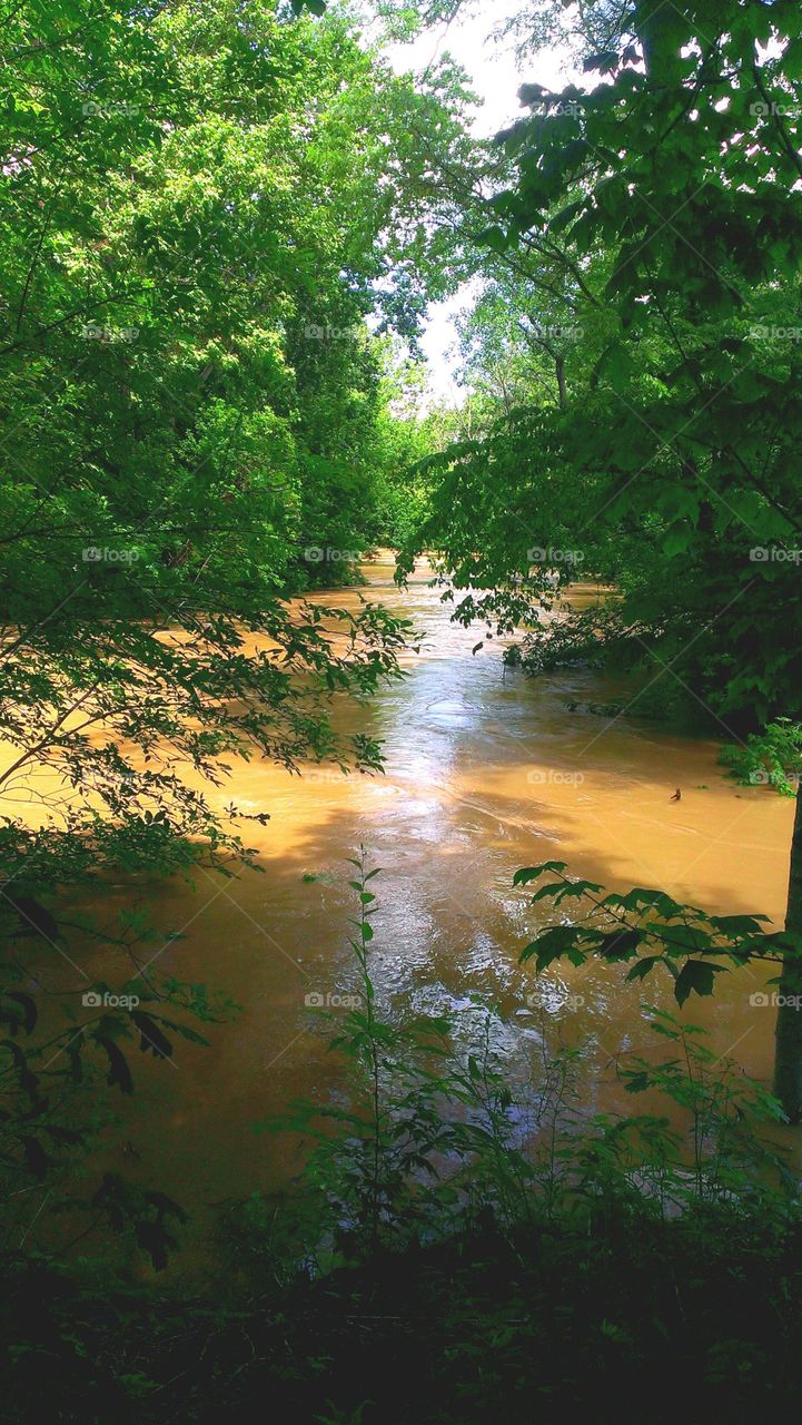 Swollen River