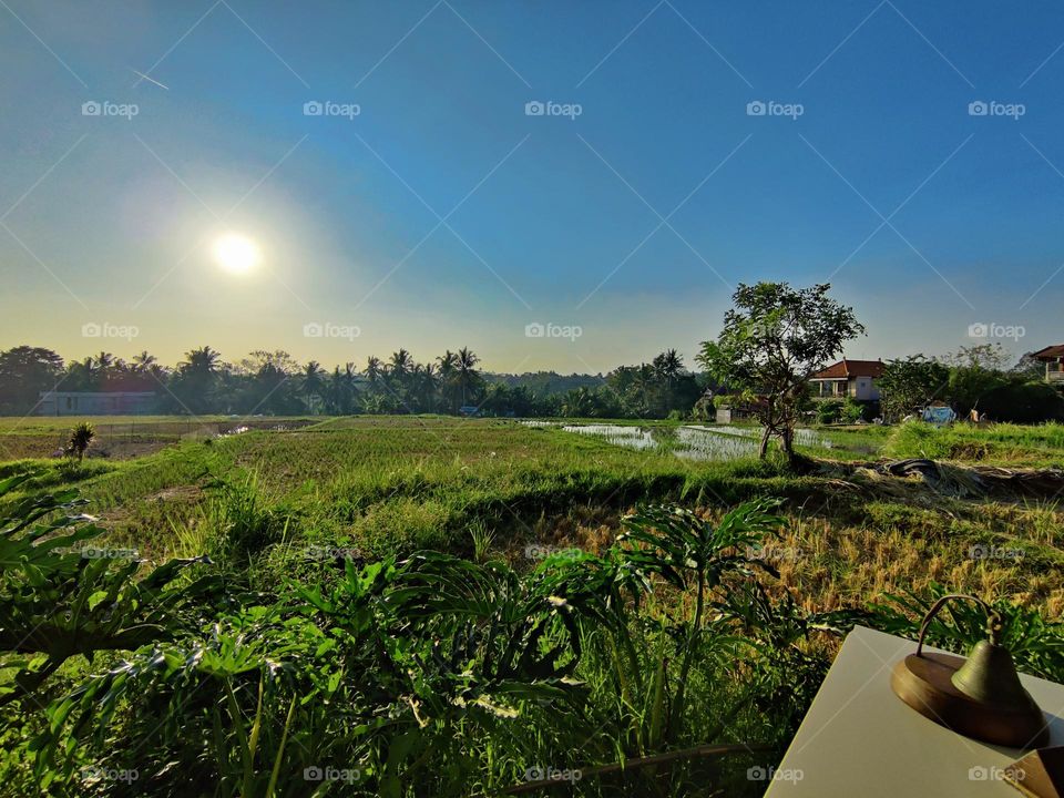 Pomegranate Cafe, Ubud