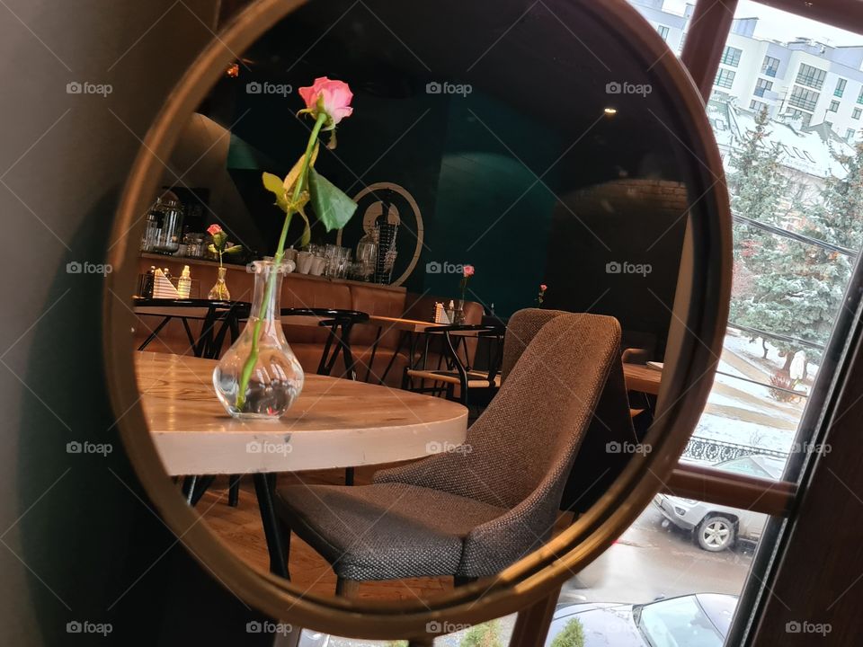 Editor's Choice: Photo of the Week