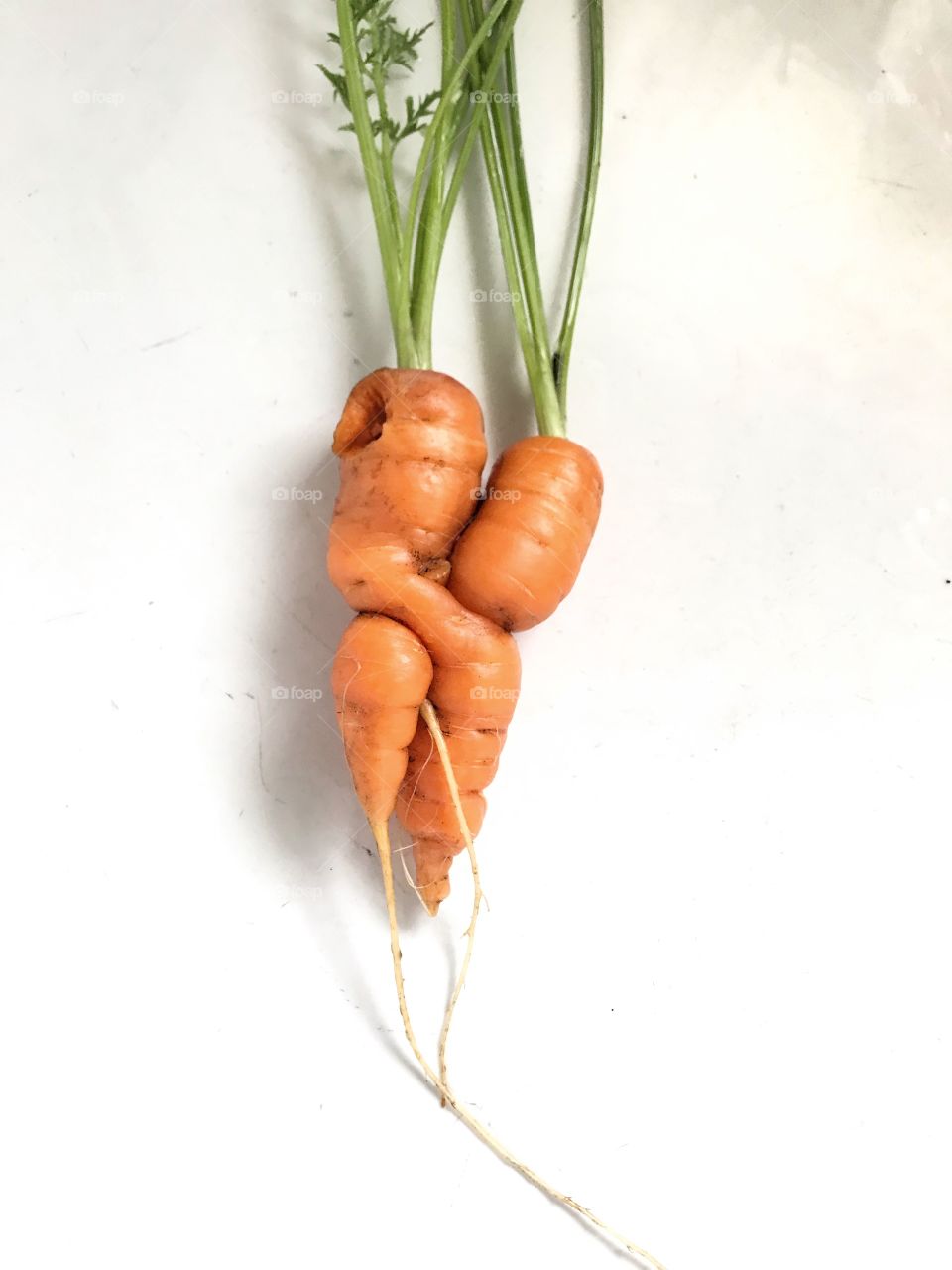Carrot Hug