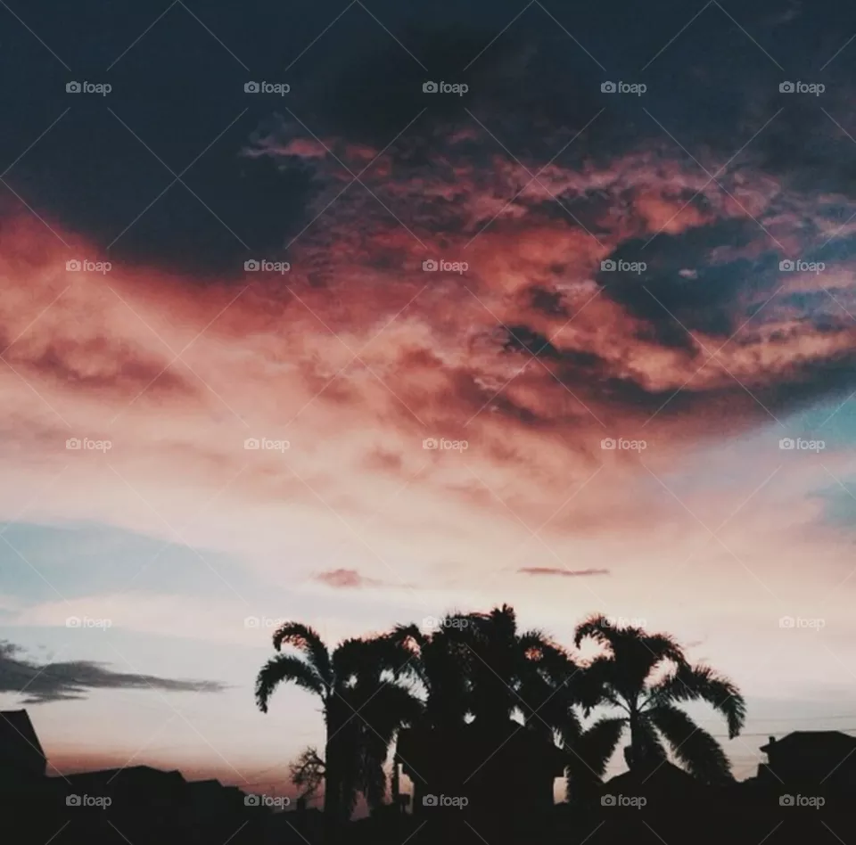 pink sunset