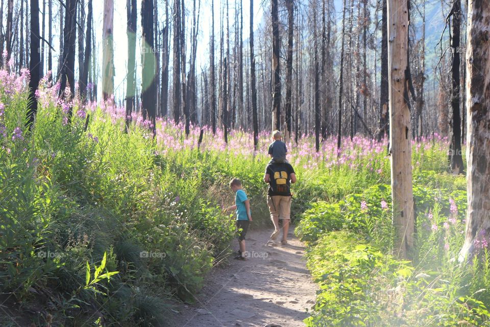 Family Hike