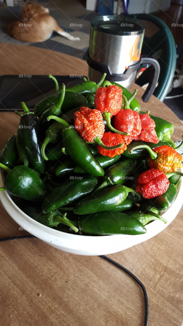 lotsa peppers