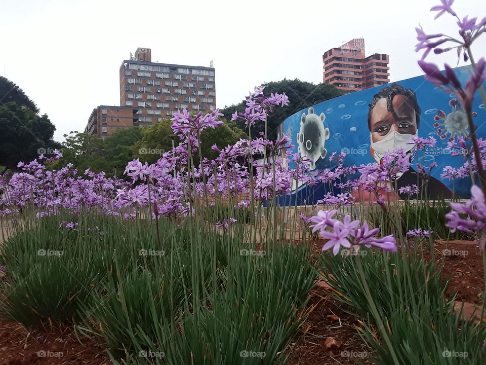 beautiful plants at the park