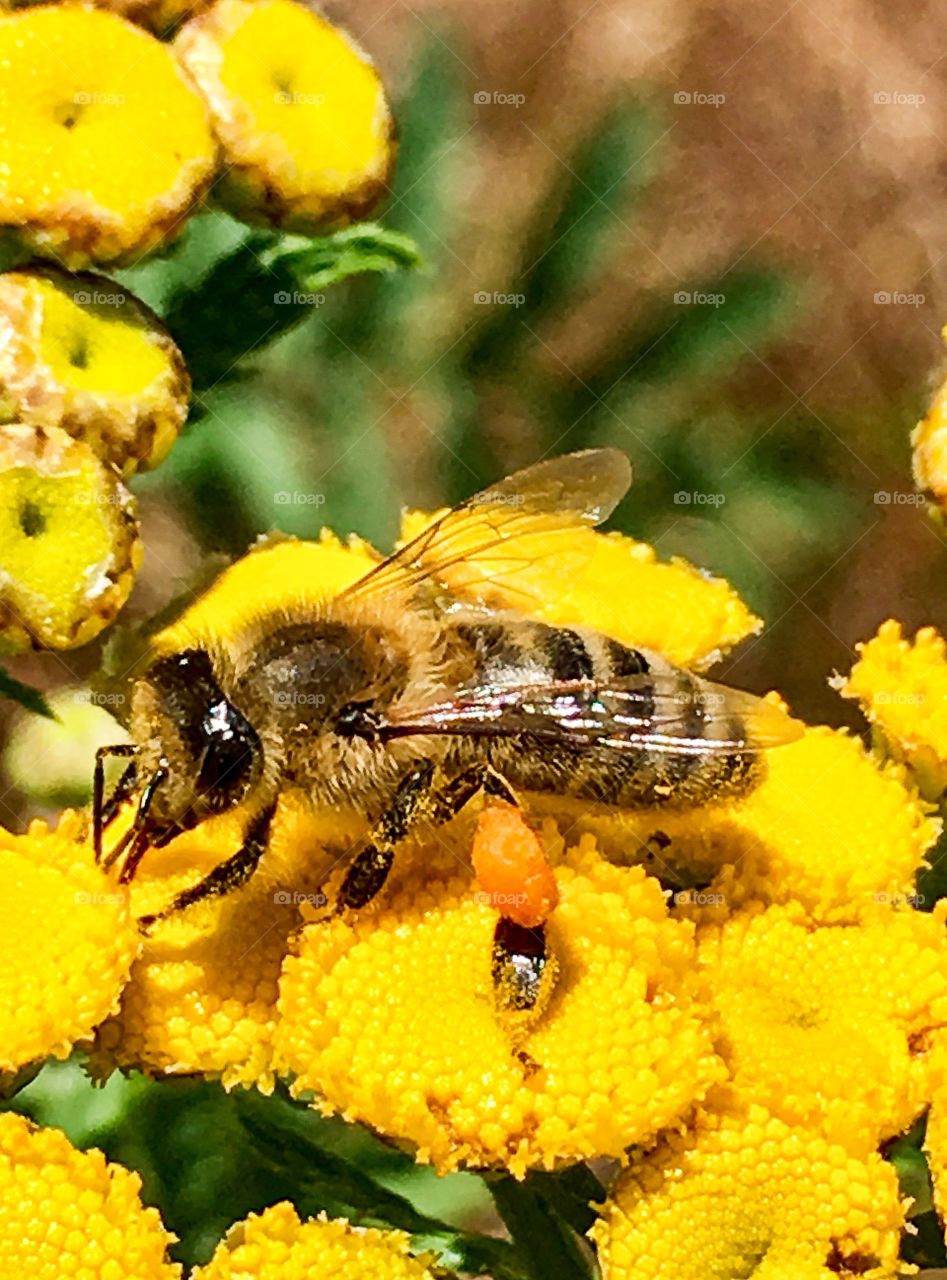 Working For a Living 