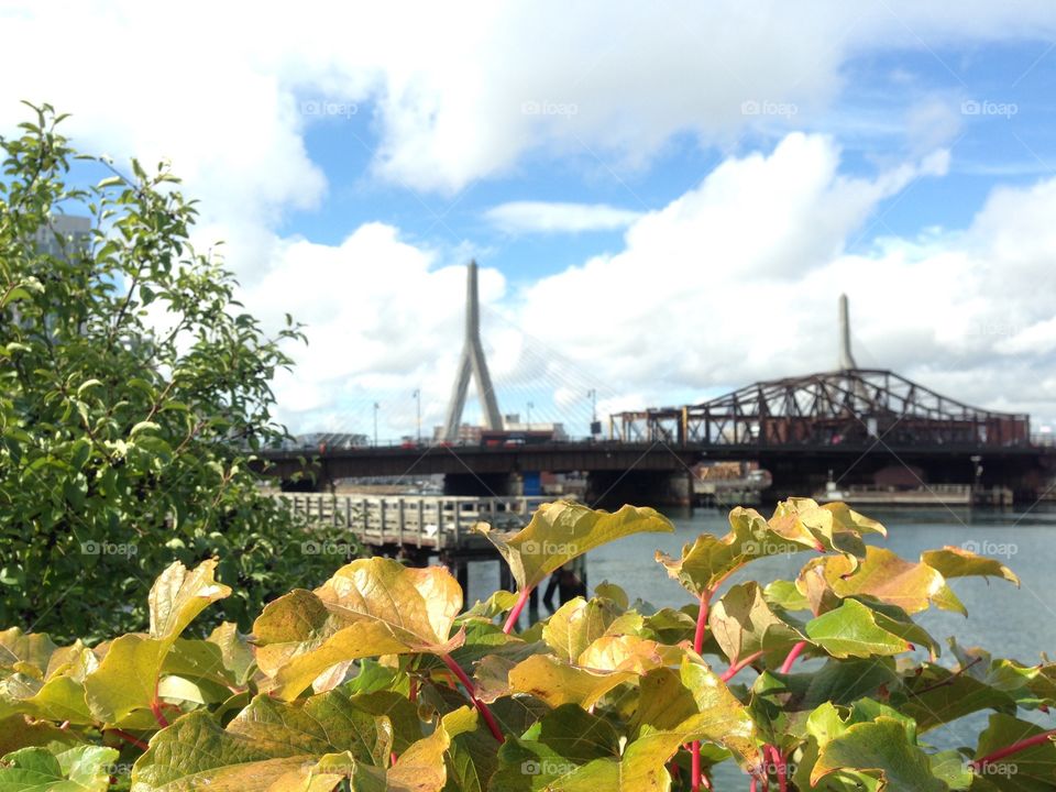 Most of the beautiful things are not the obvious thing