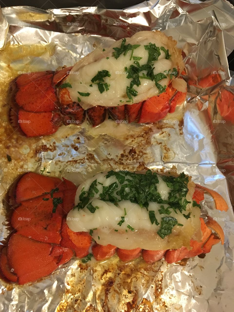 1. Lobster