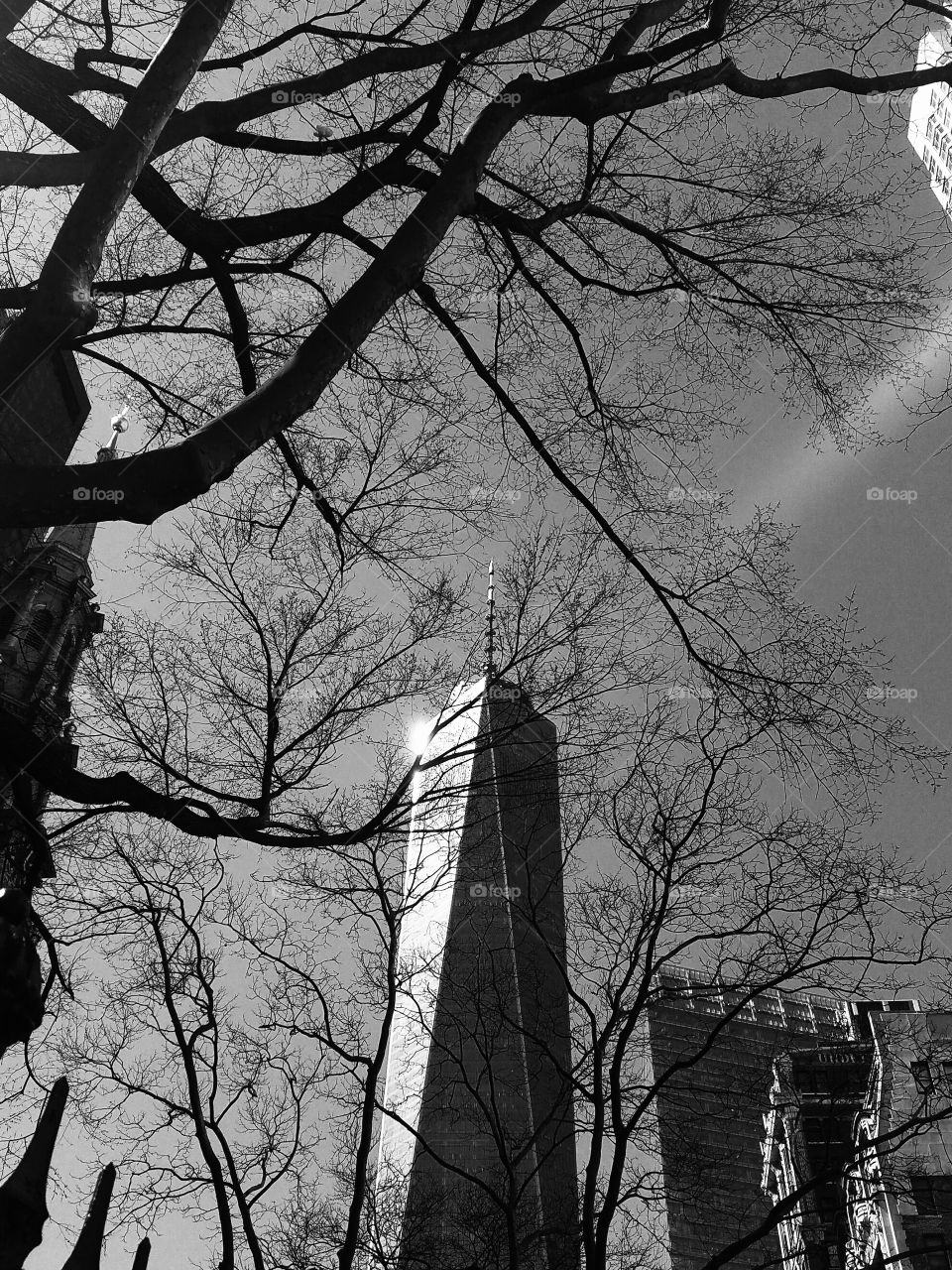 Freedom Tower as seen from lower Manhattan in the sunlight