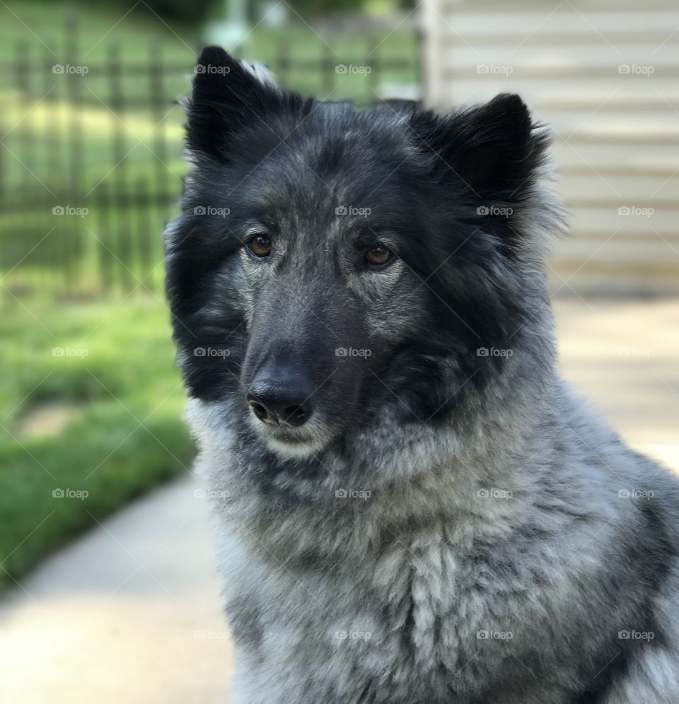 What are you looking at? 