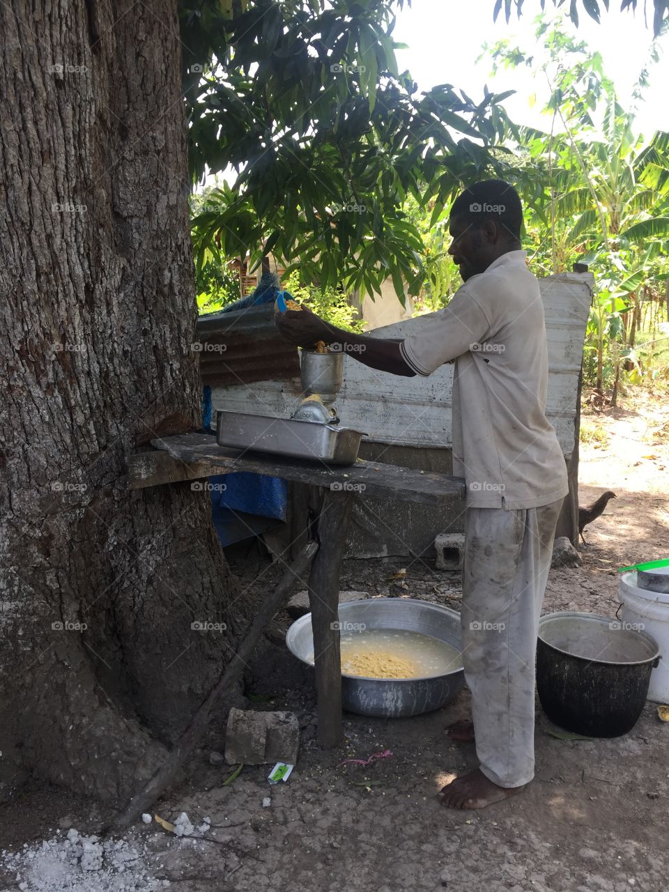 Haitian man grinding cornmeal 