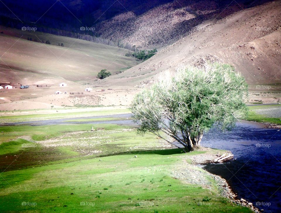 scenery in Mongolia