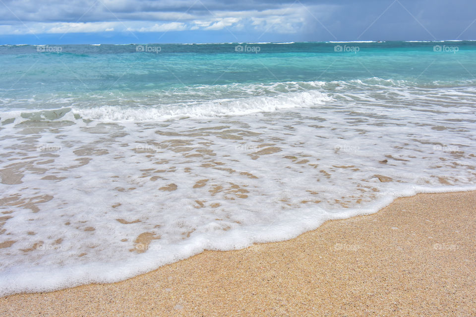 natural landscape on the beach