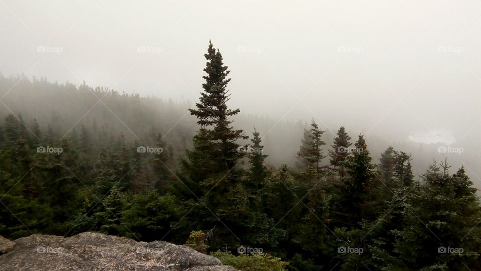 Adirondack High Peaks-Misty Mountain Tops