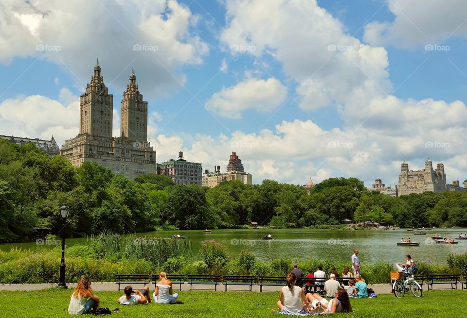 Summer at the Lake in Central Park