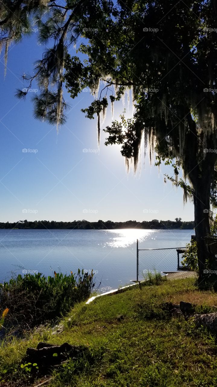 View in a backyard of a Lake House with Clear blue Sky and a suns reflection over the water.