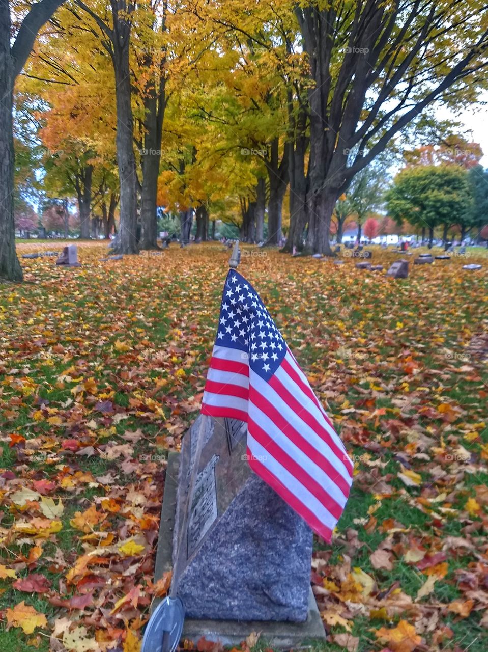 American flag cemetery