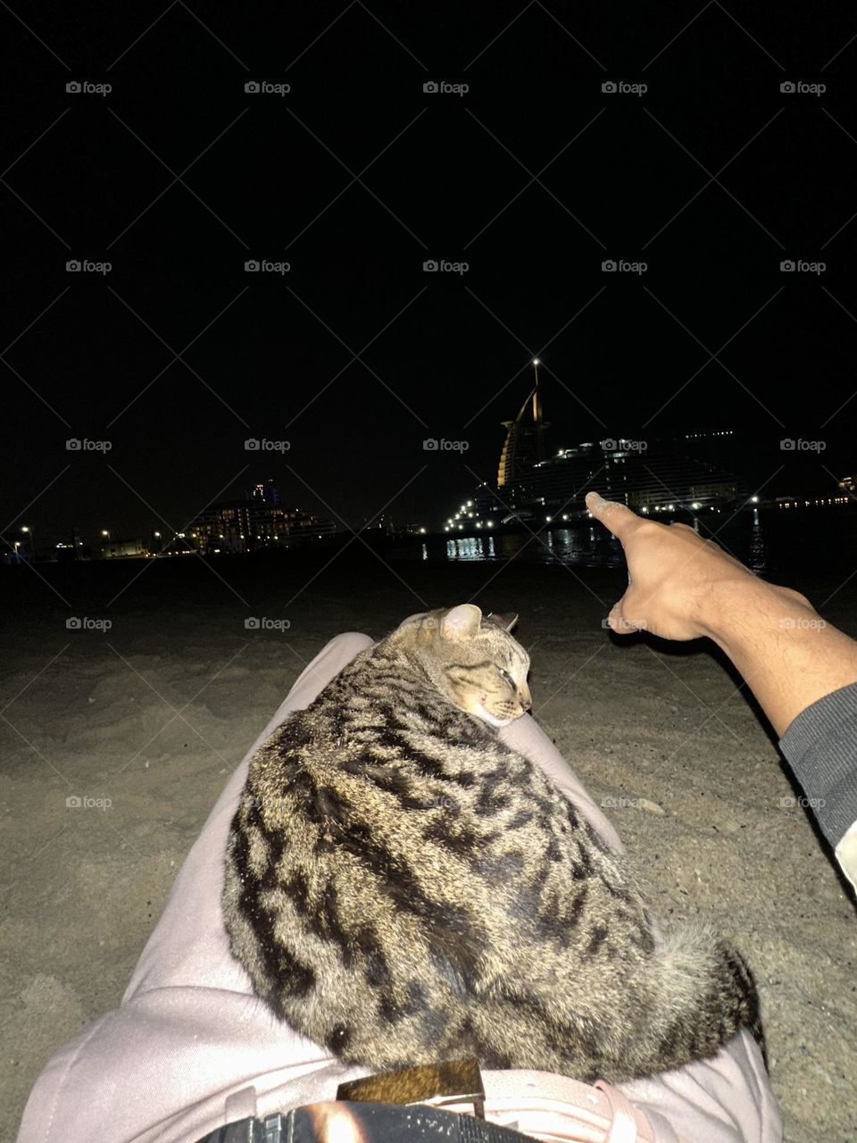 Dubai: The Golden Oasis through Softness!