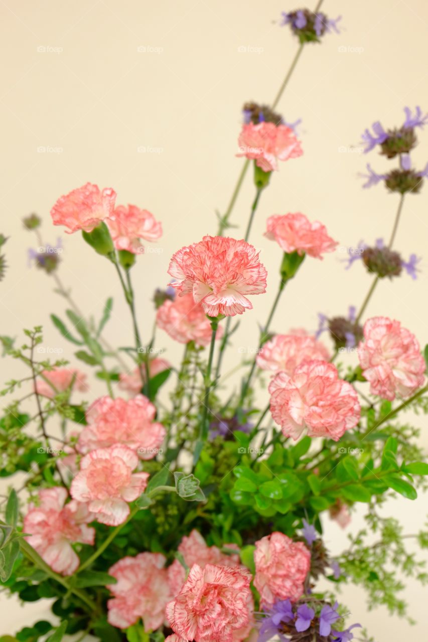 Floral arrangement, pink and white carnations and purple fillers