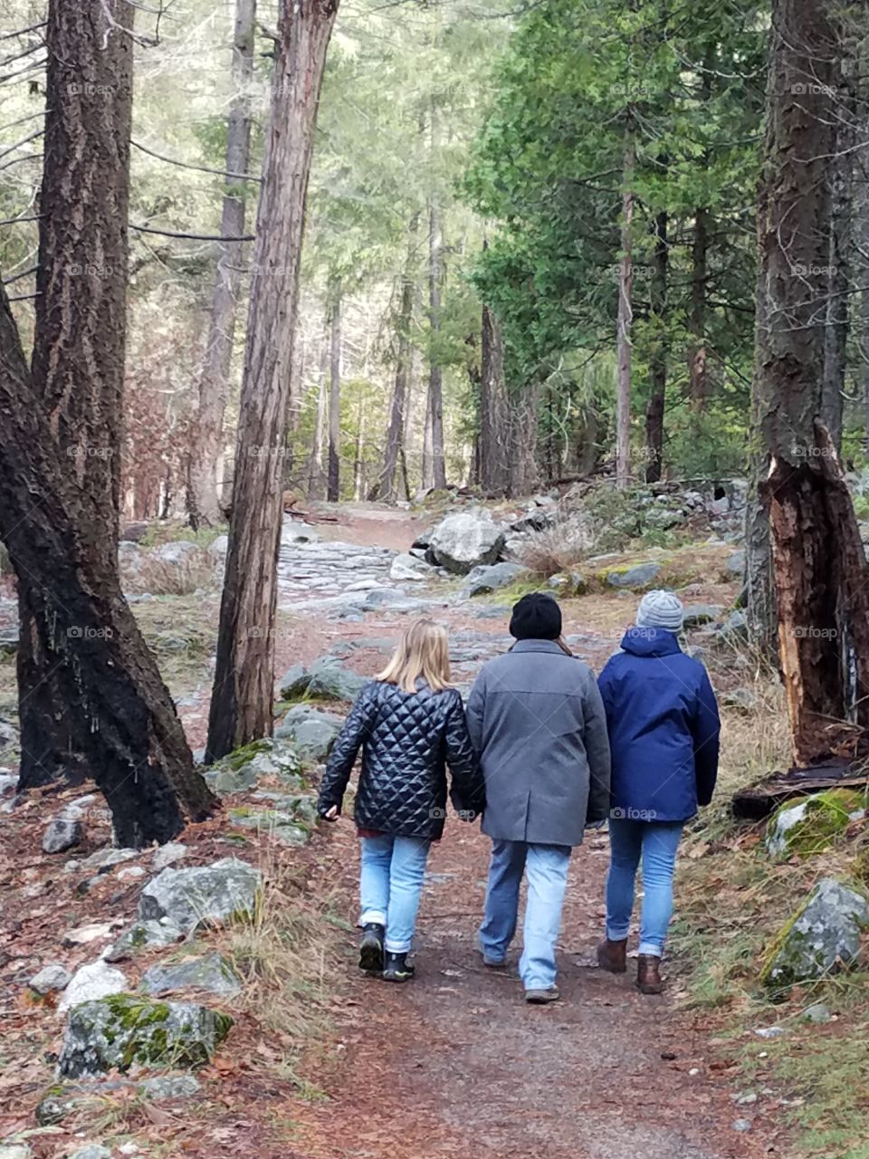 Family hike in Yosemite 6.