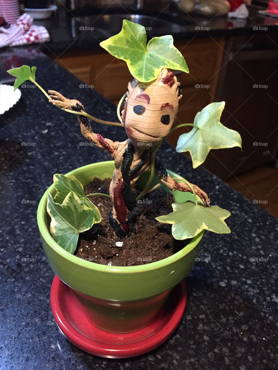 Cute Groot plant 
