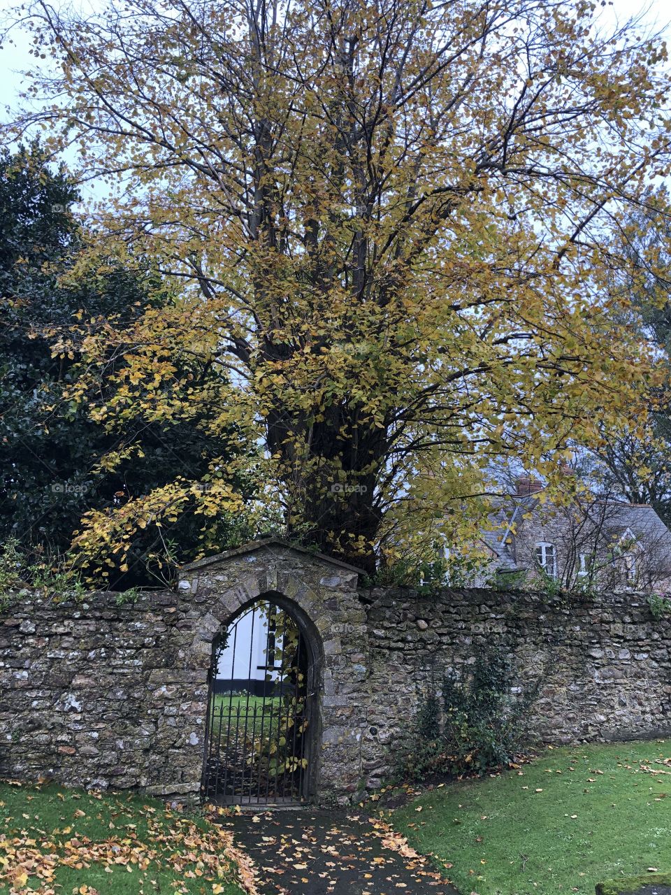 It’s that time of year an autumnal view in central Ottery St Mary in Devon, UK. I am loving too the little archway.