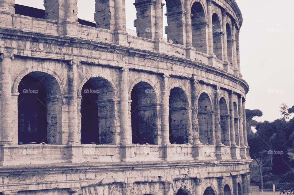 Colosseum detail 