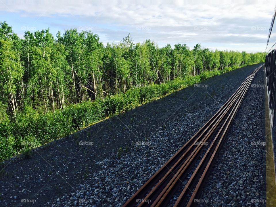 On my way to Talkeetna from Anchorage on an early morning trip. Shot in the loud and cold middle cross section of two train cars. 