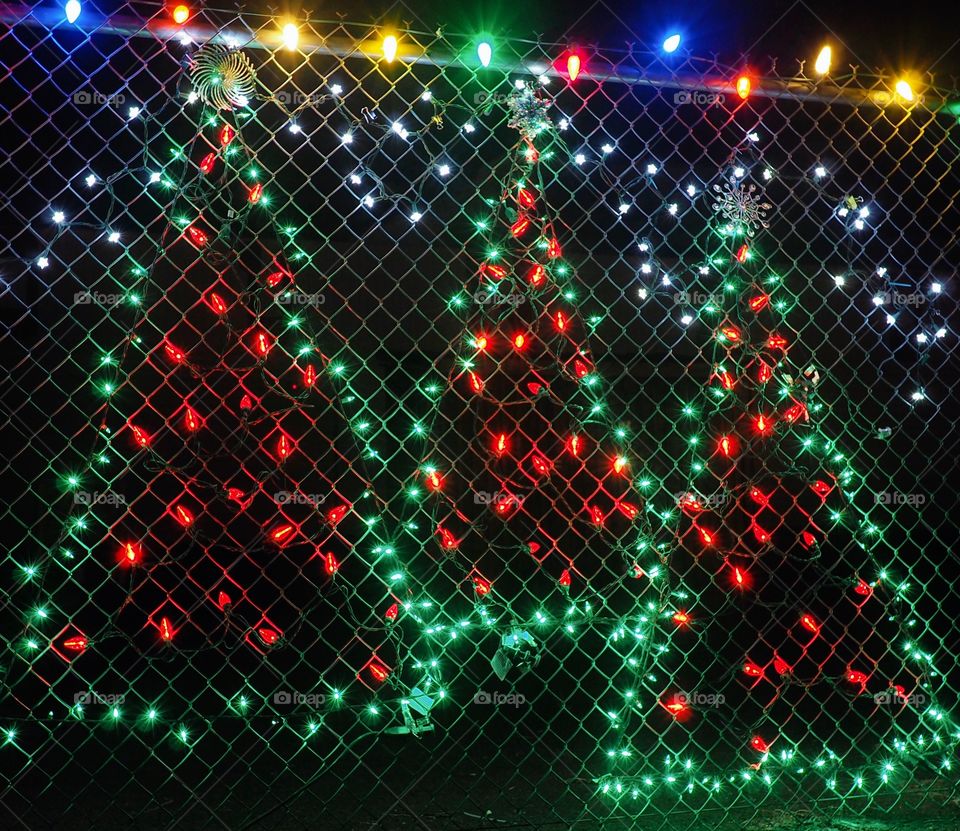 Decorative Christmas lights shaped like Christmas Trees hang from a fence in a holiday light display.