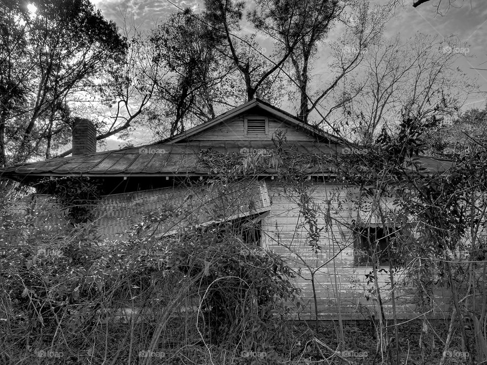 She’s Cold And Lonely 3