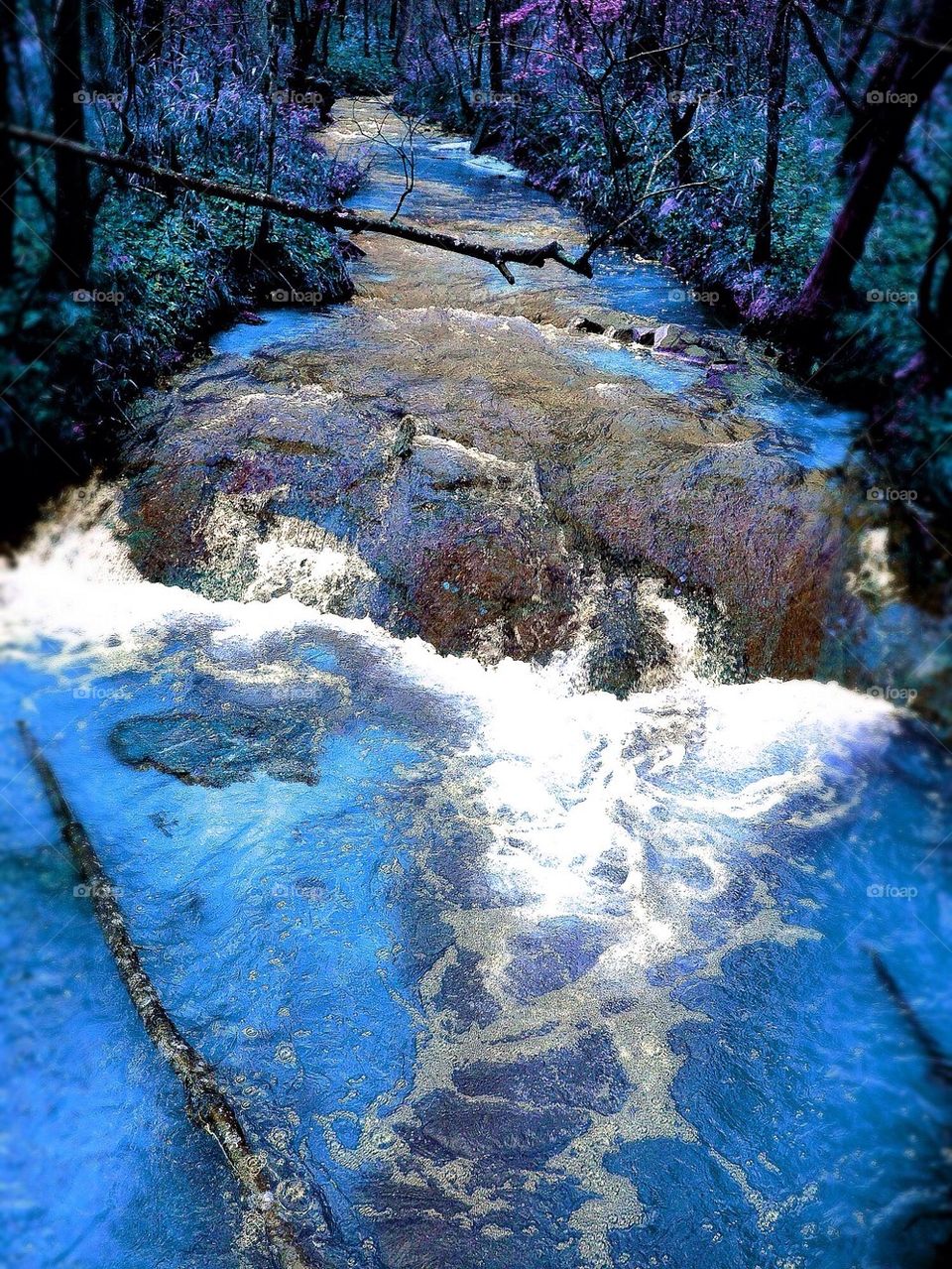 Trip Down the Psychedelic River