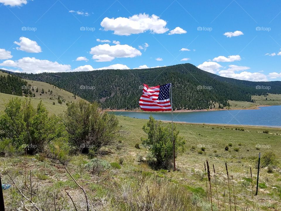 American Flag in Nature