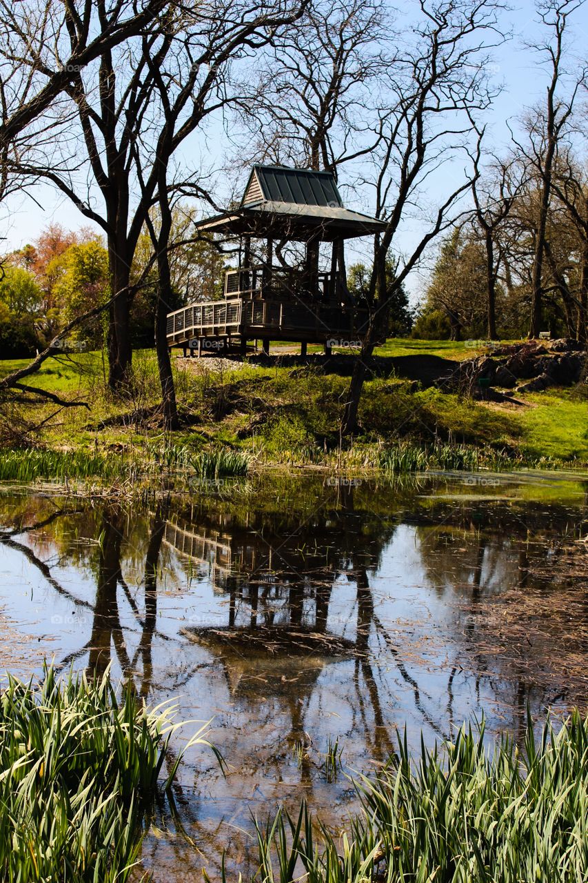 By the Pond