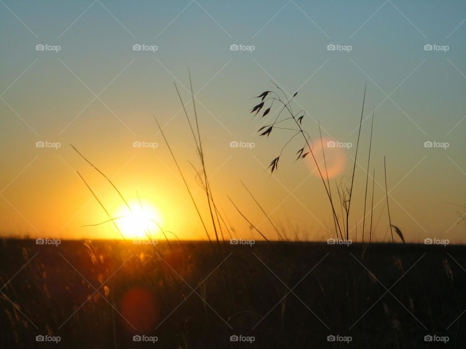 Sunset, Sun, Silhouette, Dawn, Landscape