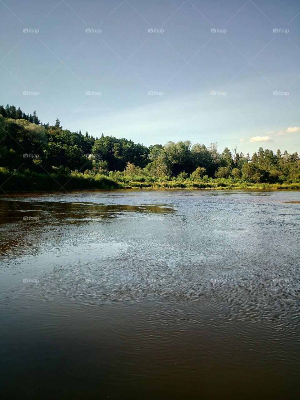 "Besides the noble art of getting things done, there is the noble art of leaving things undone. The wisdom of life consists in the elimination of non-essentials." - Lin Yutang