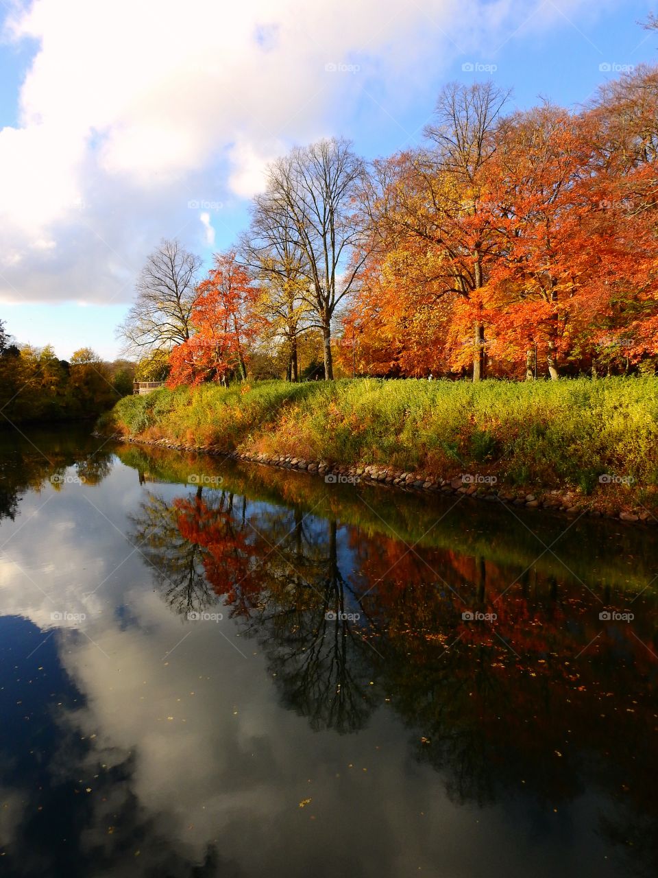 Fall reflection


