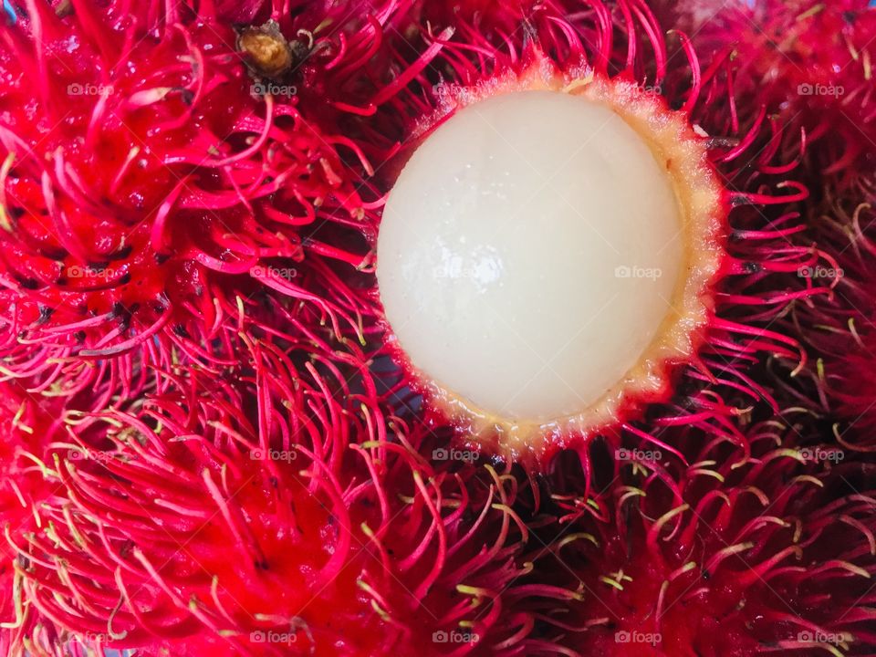 Rambutan, a seasonal hairy fruit in South East Asia