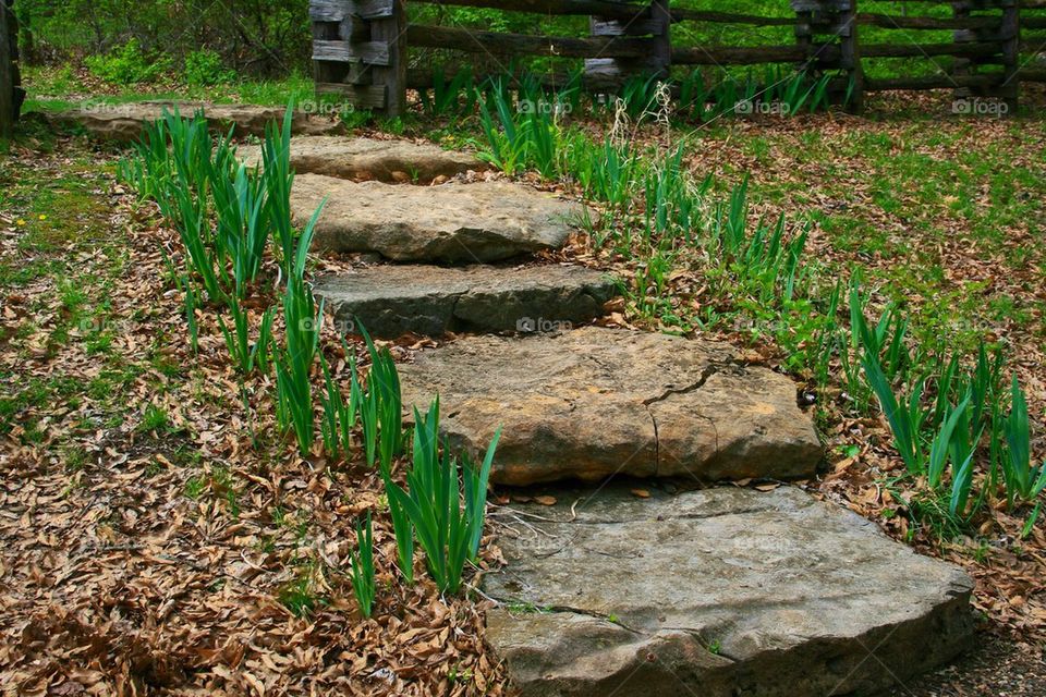 Stepping Stones