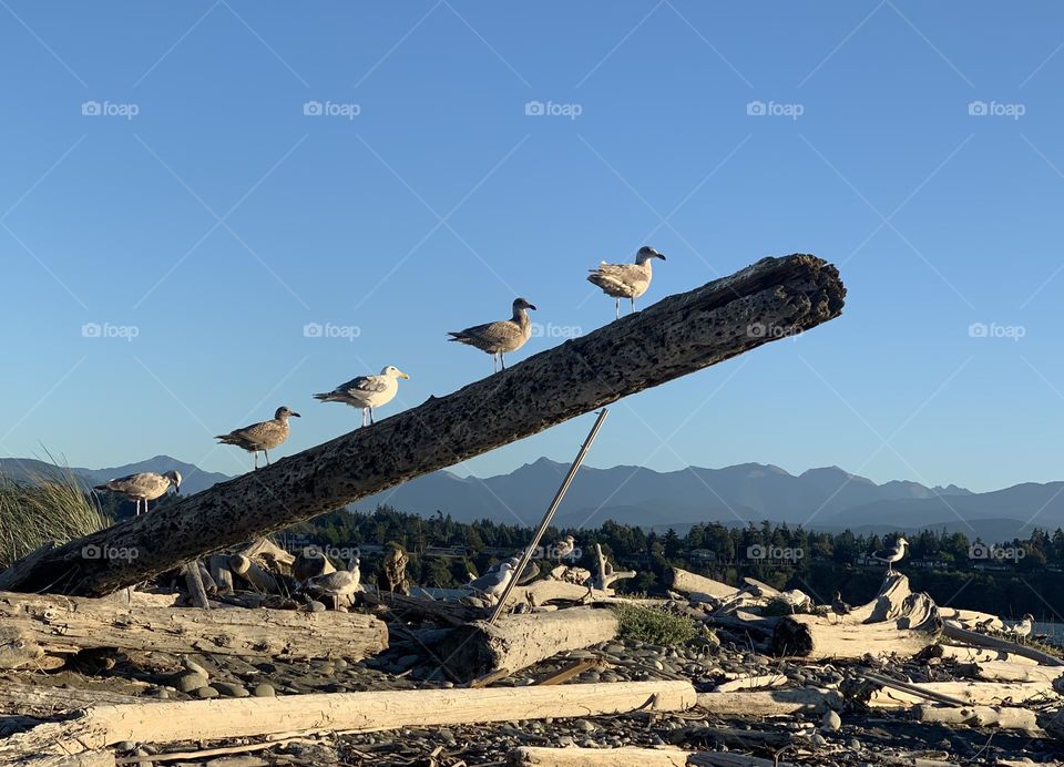 Bird watching at state park